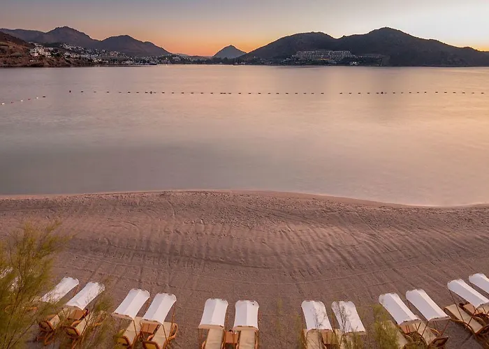 Xanadu Island Akiarlar